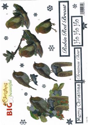 B & B Reflection Robin + deco sheet - Die-cut [WUK778]