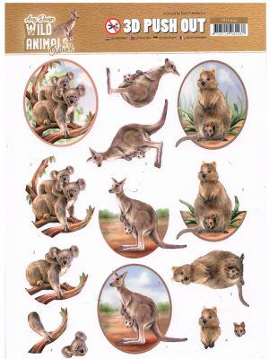 Wild Animals Outback - Amy Design - Koala SB10442