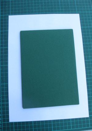 A5 Prisma Card - Pine